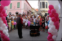 magic japa ma�ioni�ar